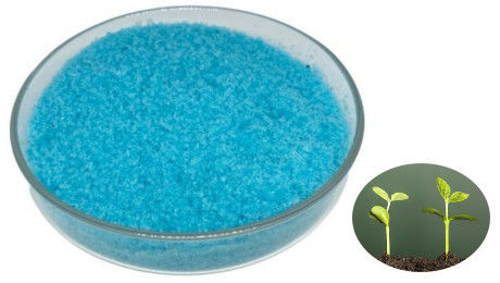 99% NPK Water Soluble Fertilizers 19 19 19 Chelated Trace Elements For Fruit